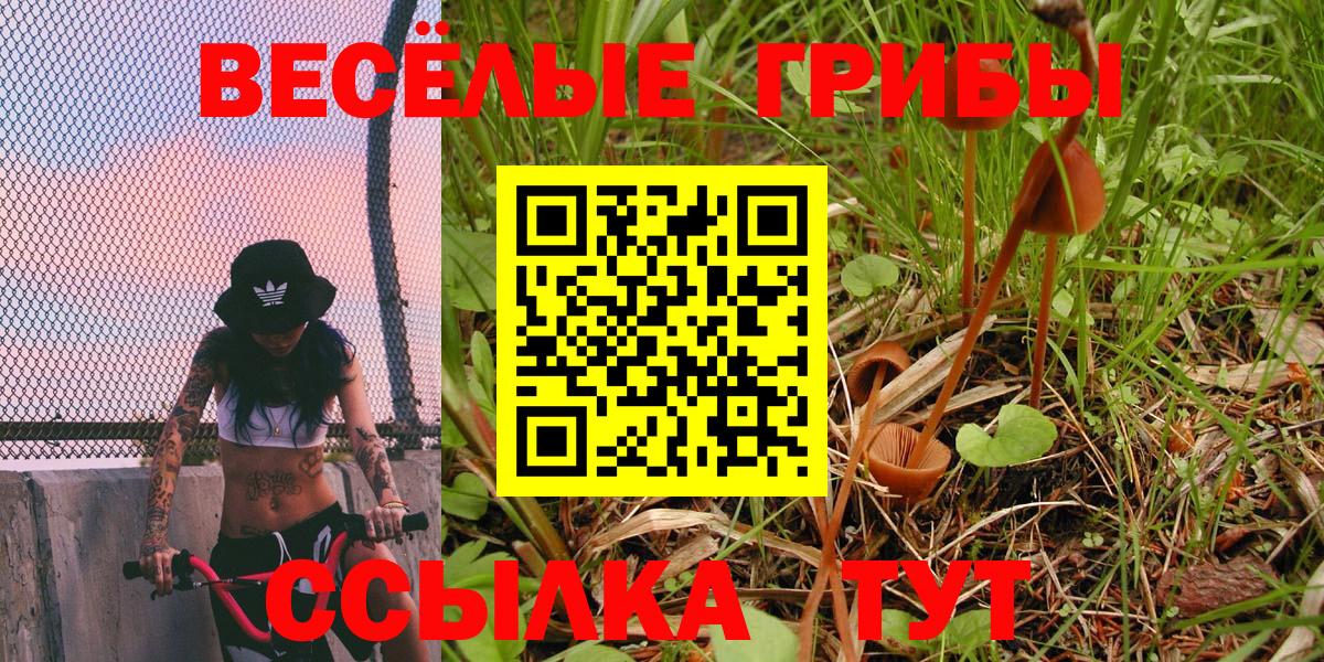 Энгельс  Псилоцибиновые грибы ЛСД  Вход с VPN 